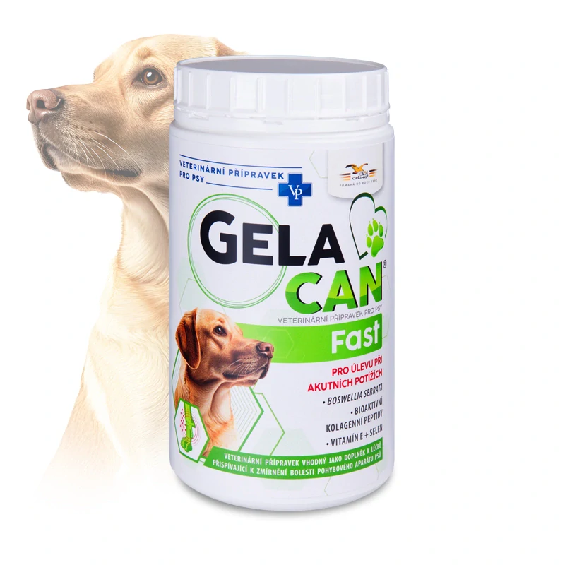 ORLING Gelacan Fast 500g