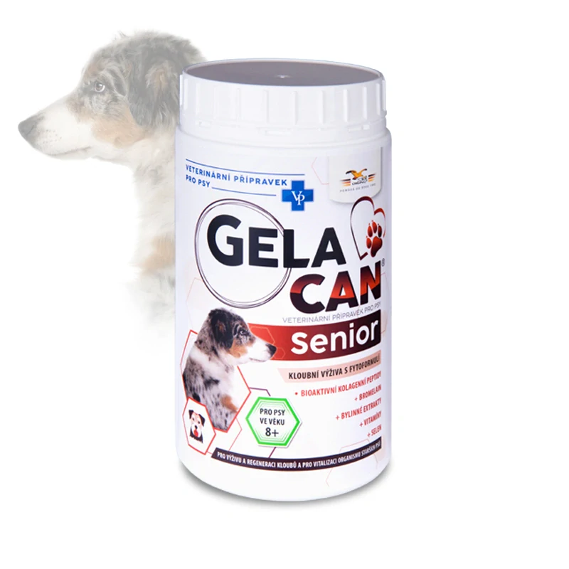 ORLING Gelacan Senior 500g