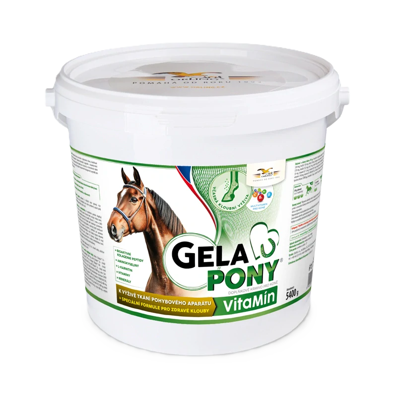 ORLING Gelapony VitaMin 5400g