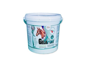 ORLING Gelapony VitaMin 10,8kg