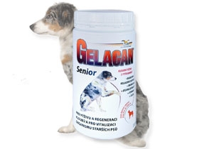 ORLING Gelacan Senior 500g