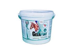 ORLING Gelapony VitaMin 5400g