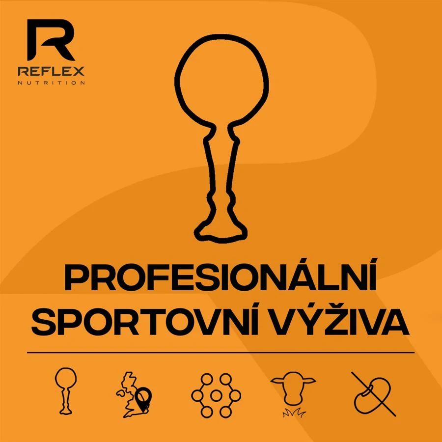 Reflex Nutrition Omega 3 90 kapslí
